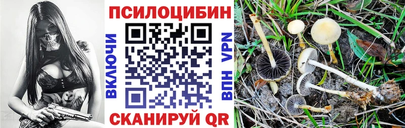 гидра ссылки  Белореченск  Галлюциногенные грибы MAGIC MUSHROOMS 