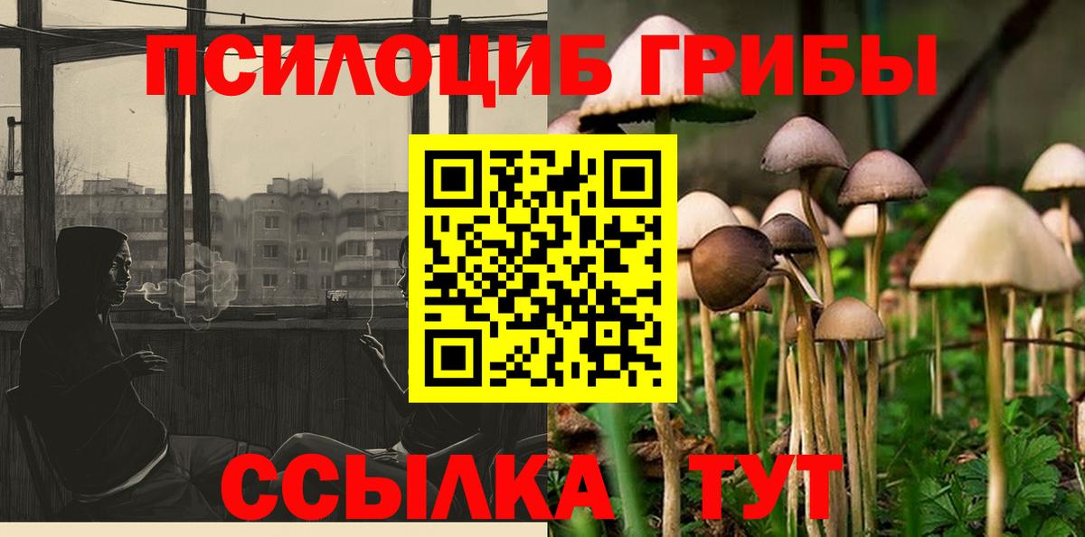 где продают наркотики  Галлюциногенные грибы Cubensis  Вход с VPN  Белореченск 